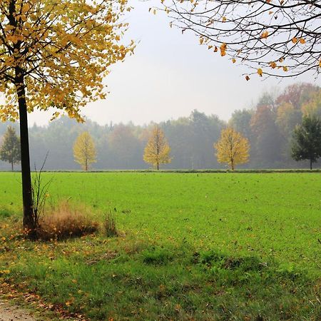 Ferienhaus "Ullersdorfer Teiche" Ullersdorf  Exteriör bild