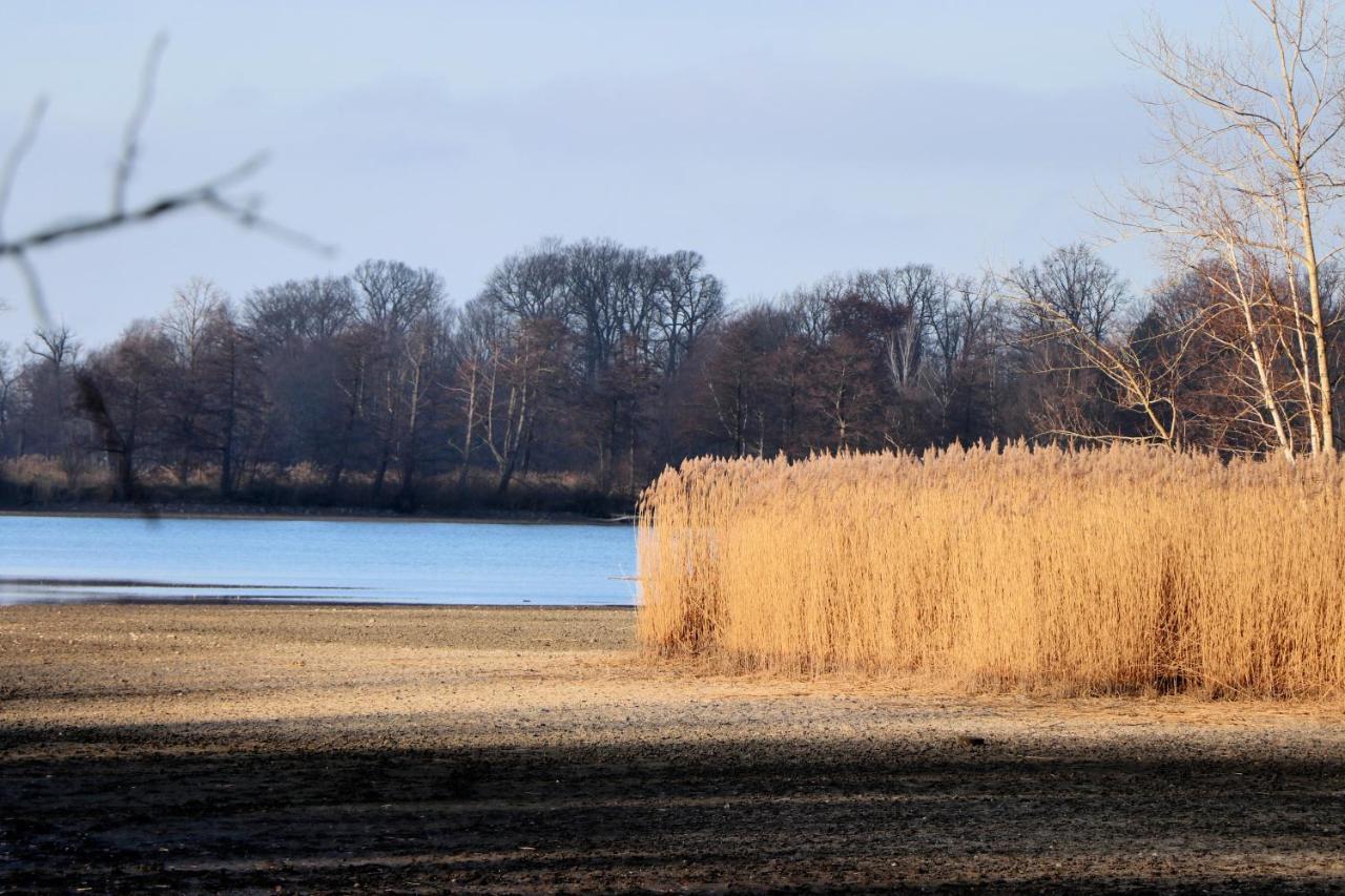 Ferienhaus "Ullersdorfer Teiche" Ullersdorf  Exteriör bild