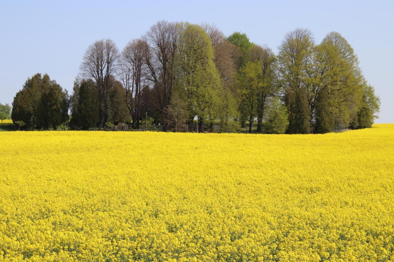 Ferienhaus "Ullersdorfer Teiche" Ullersdorf  Exteriör bild